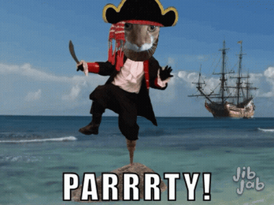 Cat Pirate Saying Parrrty GIF