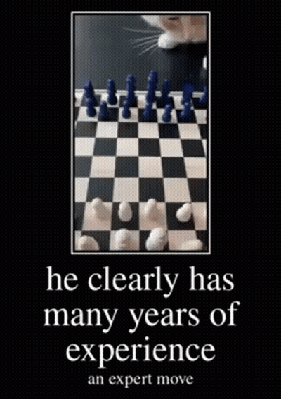 Cat Playing Chess Expert Move GIF