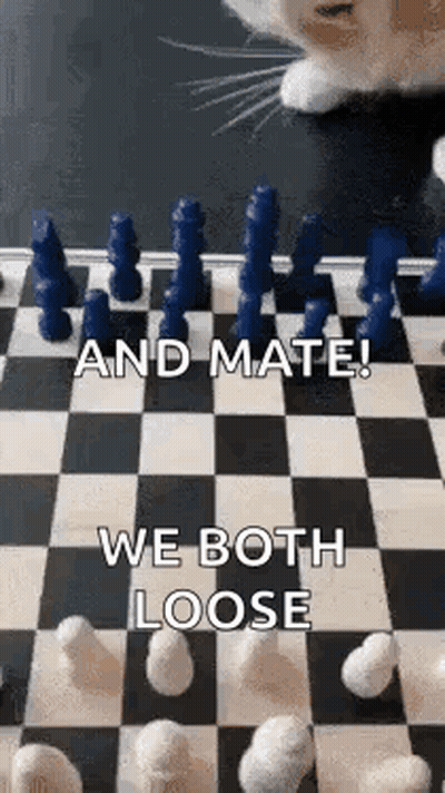 Cat Playing Chess GIF