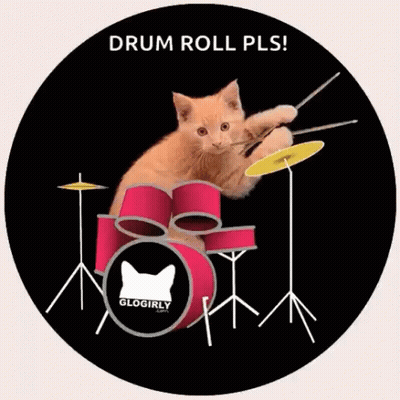 Cat Playing Drum Set Saying Drum Roll Pls GIF