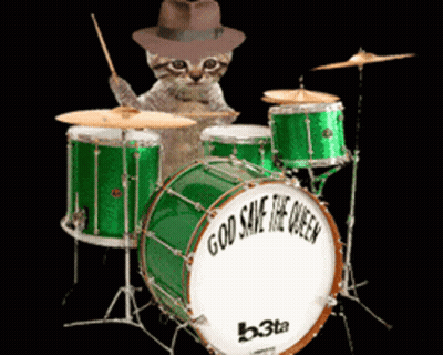 Cat Playing Drum Set Saying God Save The Queen GIF