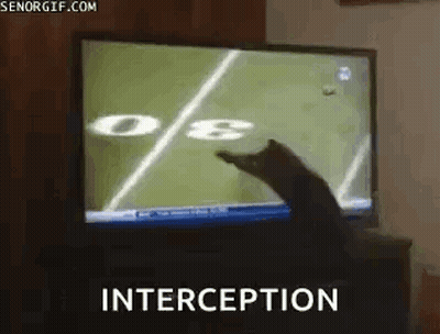 Cat Playing Football Interception GIF