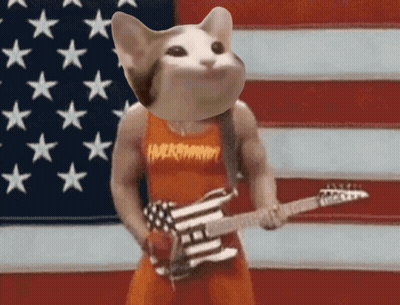 Cat Playing Guitar With Hardcore Shirt GIF