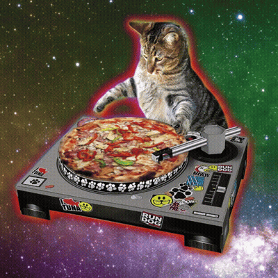 Cat Playing Pizza On Turntable Saying Run Dog GIF