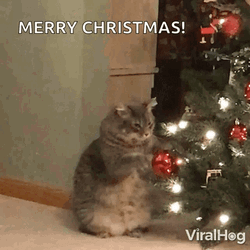 Cat Playing The On The Tree Noel GIF