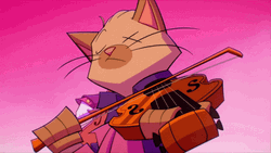 Cat Playing Violin GIF