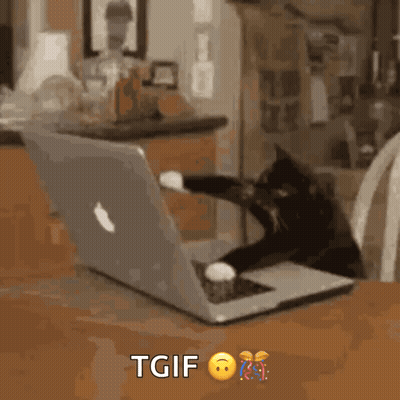 Cat Playing With Apple Laptop GIF