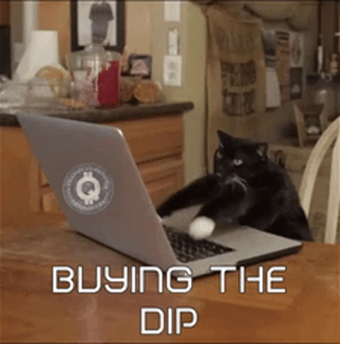 Cat Playing With Ball Buying The Dip GIF
