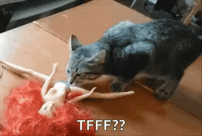 Cat Playing With Barbie Doll Asking Tfff GIF