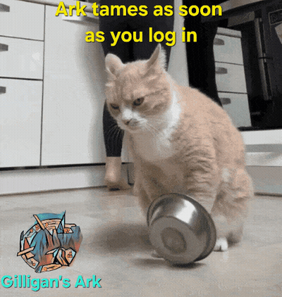 Cat Playing With Bowl Saying Ark Tames As Soon As You Log In GIF