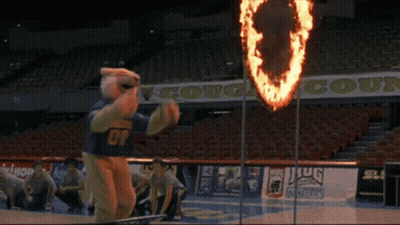Cat Playing With Fire Hoop In Stadium GIF