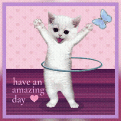 Cat Playing With Hula Hoop Saying Have an Amazing Day