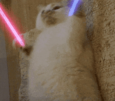 Cat Playing With Lightsaber On Head GIF