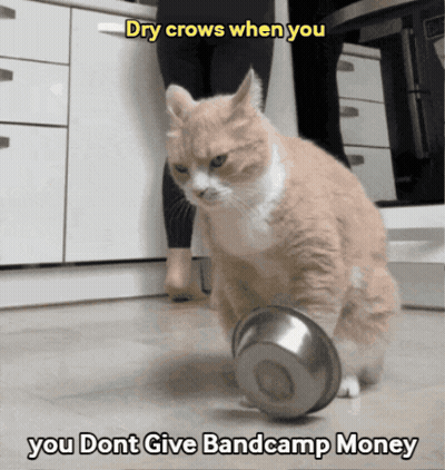 Cat Playing With Metal Bowl Saying Dry Crows When You Dont Give Bandcamp Money GIF