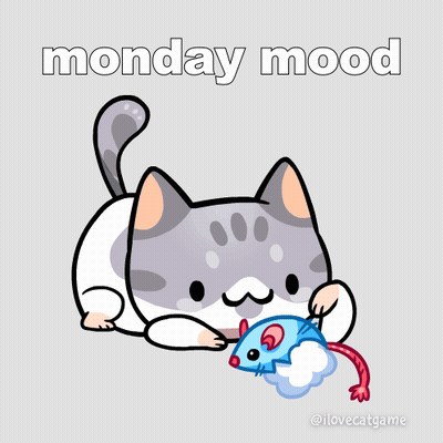 Cat Playing With Mouse Monday Mood