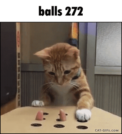 Cat Playing With Pizza Box Toy GIF