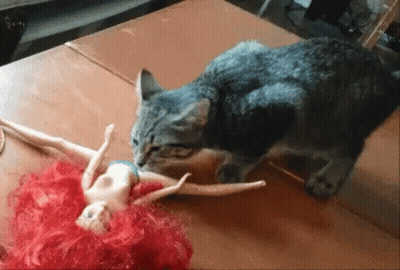 Cat Playing With Red-Haired Barbie Doll GIF