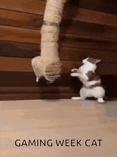 Cat Playing With Rope Gaming Week Cat GIF