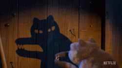 Cat Playing With Shadow GIF