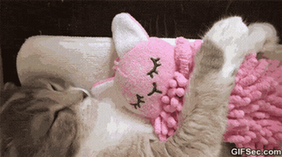 Cat Playing With Stuffed Sleeping Kitty GIF
