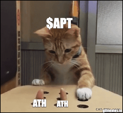 Cat Playing With Toy Saying Sapt GIF