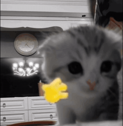 Cat Playing With Yellow Flower In Front Of Clock Saying 10:08 GIF