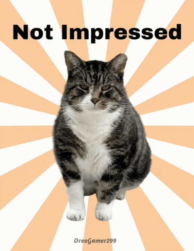 Cat Poster Not Impressed GIF