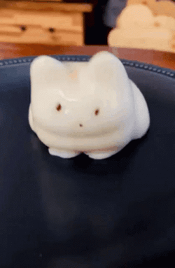Cat Pudding Jelly  Wiggle GIF