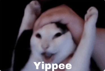 Cat Pulled By Hand Yipee GIF