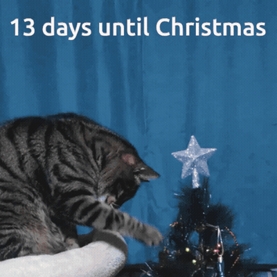 Cat Putting Star On Christmas Tree 13 Days Until Christmas GIF