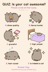 Cat Quiz Awesome Cute Pusheen GIF