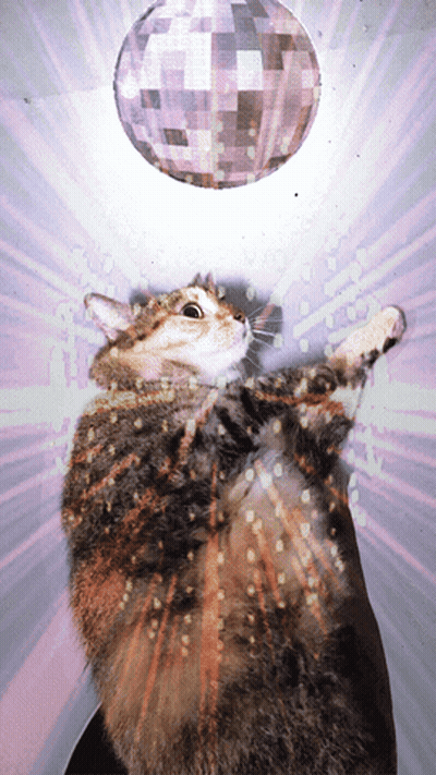 Cat Reaching For Disco Ball GIF