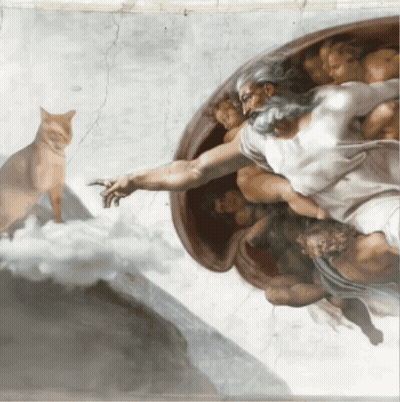 Cat Reaching Out To Bearded Man GIF