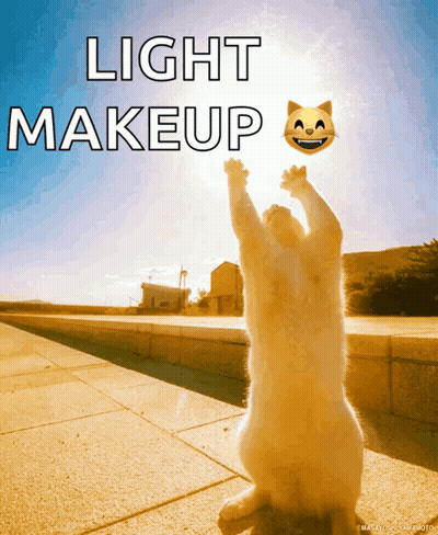 Cat Reaching Up To Catch Smiley Saying Light Makeup GIF