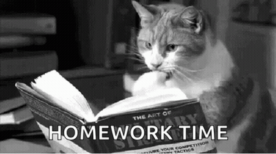 Cat Reading Book Saying Homework Time GIF