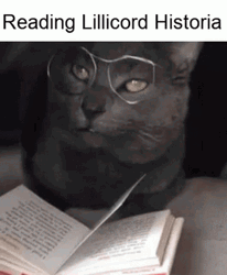 Cat Reading Historia GIF