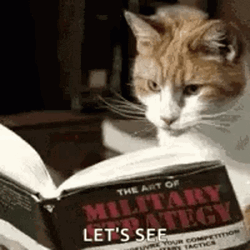 Cat Reading Military Book GIF
