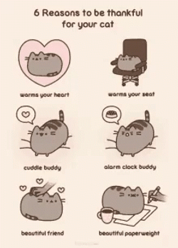 Cat Reasons To Be Thankful On Pusheen Thanksgiving GIF