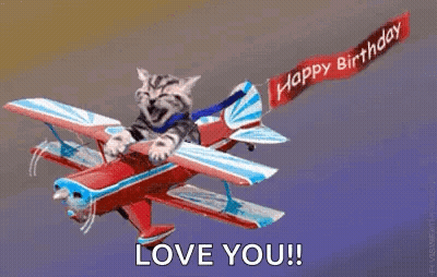 Cat Riding Airplane With Happy Birthday Banner GIF