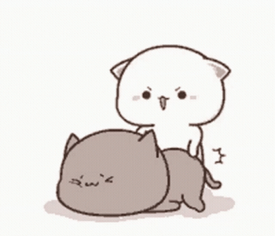 Cat Riding Another Cat GIF
