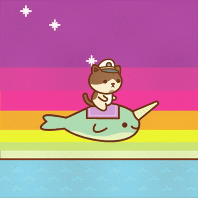 Cat Riding Narwhal Rainbow Background GIF