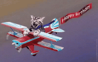 Cat Riding Plane Wing With Happy Birthday Banner GIF