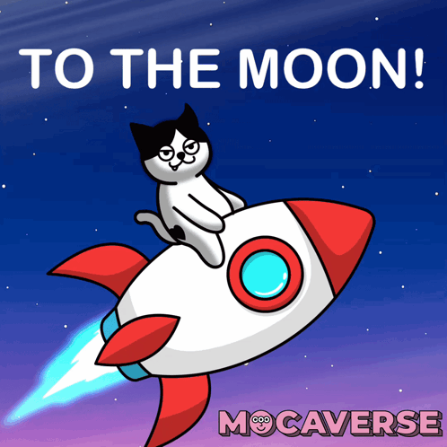 Cat Riding Rocket To The Moon GIF