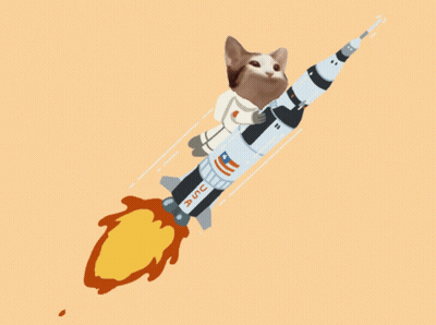Cat Riding Rocket With USC GIF
