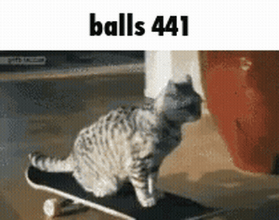 Cat Riding Skateboard Balls 441 GIF