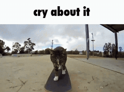 Cat Riding Skateboard Saying Cry About It GIF