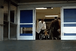 Cat Riding Wheelchair GIF