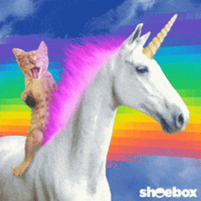 Cat Riding White Unicorn GIF