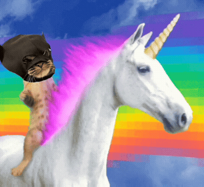 Cat Riding White Unicorn GIF