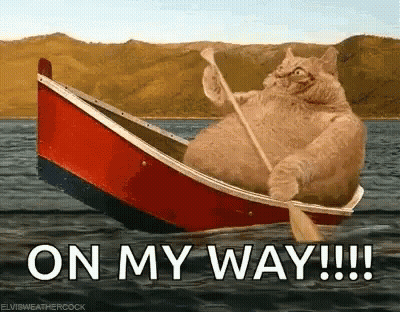 Cat Rowing Boat On My Way GIF